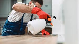 Best Pest Prevention Services  in Mentone, CA