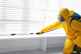 Best Outdoor Pest Control  in Mentone, CA